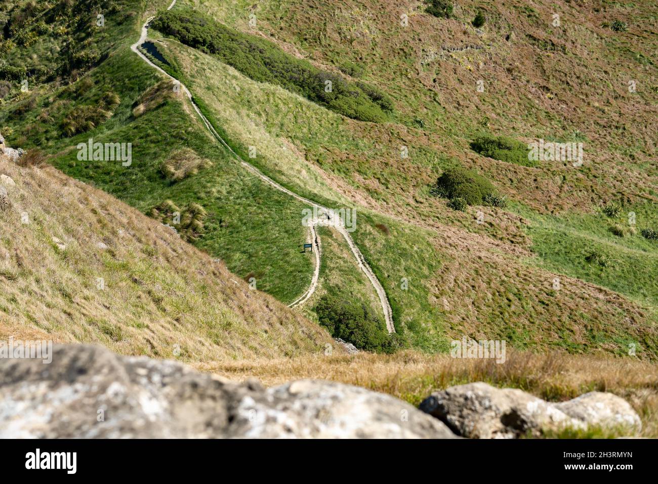 Castle Point Track, Neuseeland Stockfoto