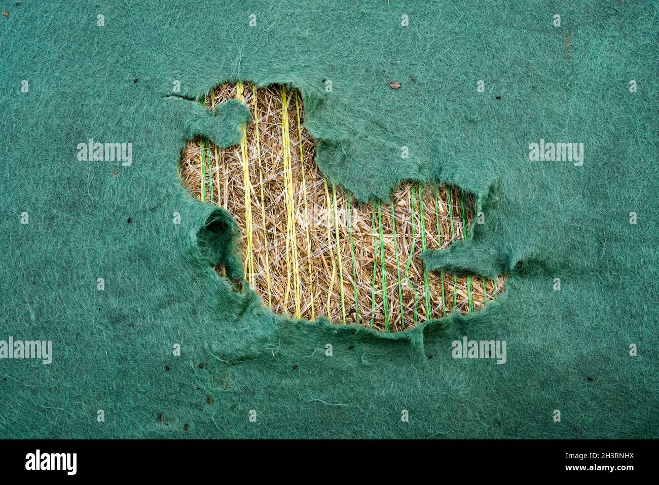 Heuballen mit zerrissener Plane bedeckt, Wesertal, Gewissenruh, Weser-Hochland, Weserbergland, Hessen, Deutschland Stockfoto