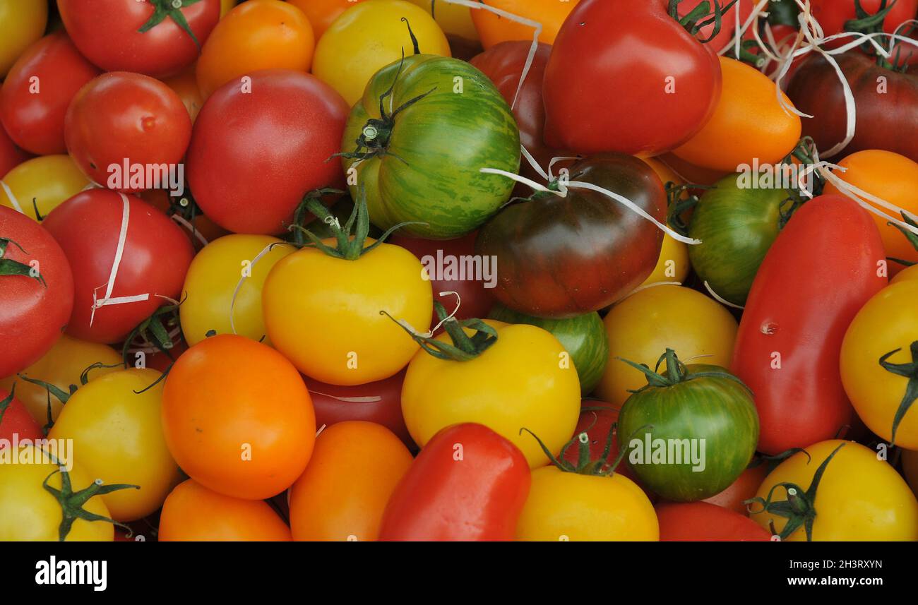 Kopenhagen, Dänemark.,20. Oktober 2021, /Gemüse- und Obstkunden bei Obst und Gemüse in Torvhallerne in der dänischen Hauptstadt.(Foto..Francis Joseph Dean/Dean Pictions) Stockfoto