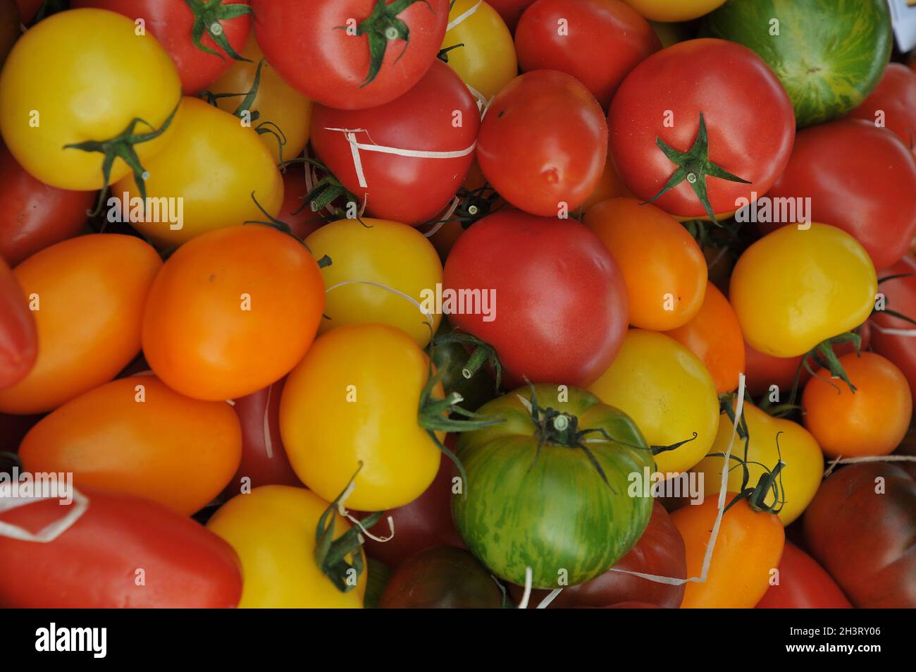 Kopenhagen, Dänemark.,20. Oktober 2021, /Gemüse- und Obstkunden bei Obst und Gemüse in Torvhallerne in der dänischen Hauptstadt.(Foto..Francis Joseph Dean/Dean Pictions) Stockfoto