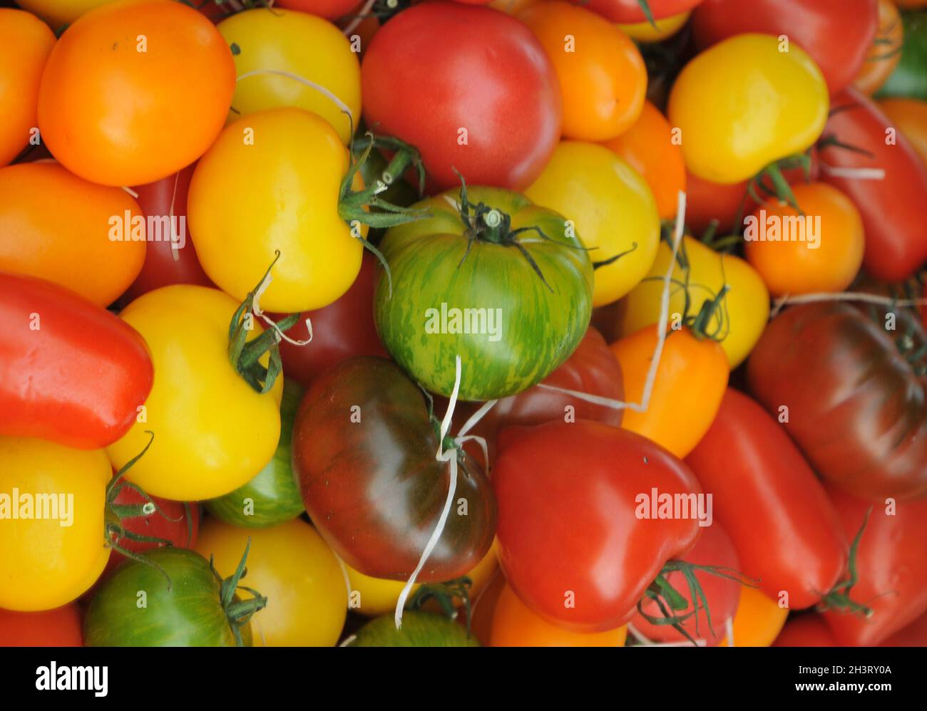 Kopenhagen, Dänemark.,20. Oktober 2021, /Gemüse- und Obstkunden bei Obst und Gemüse in Torvhallerne in der dänischen Hauptstadt.(Foto..Francis Joseph Dean/Dean Pictions) Stockfoto