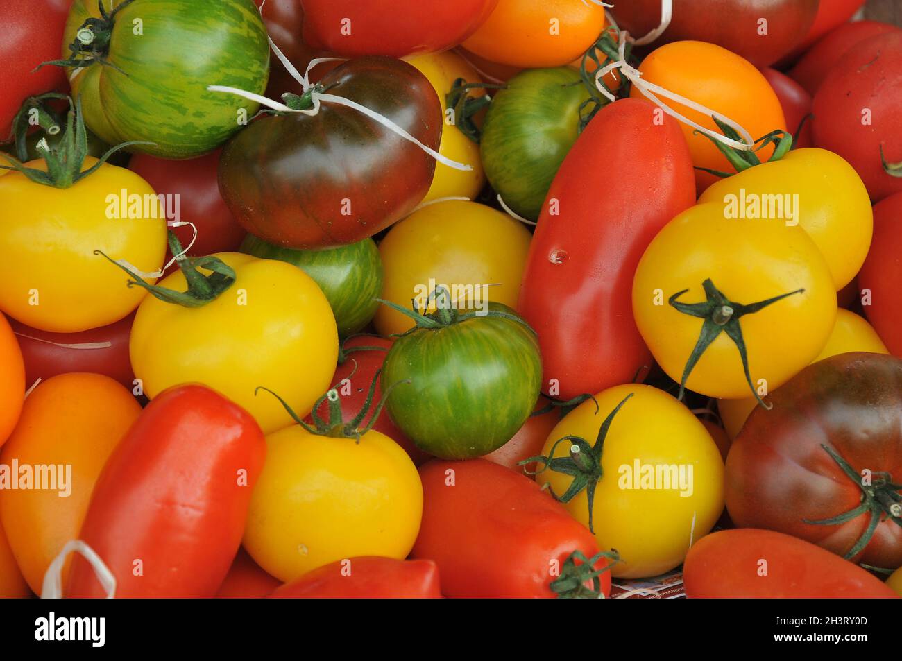 Kopenhagen, Dänemark.,20. Oktober 2021, /Gemüse- und Obstkunden bei Obst und Gemüse in Torvhallerne in der dänischen Hauptstadt.(Foto..Francis Joseph Dean/Dean Pictions) Stockfoto