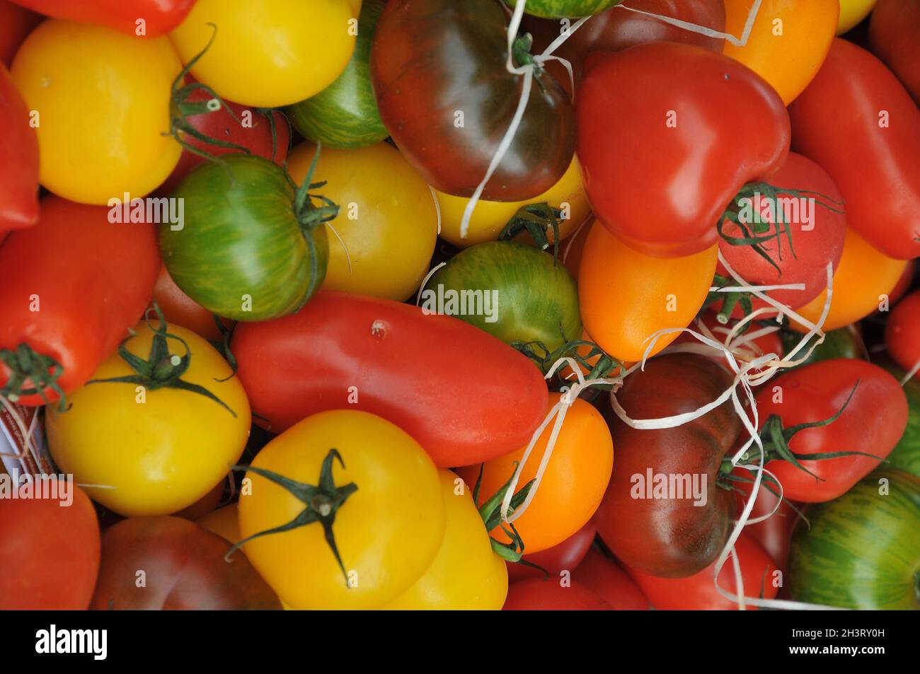 Kopenhagen, Dänemark.,20. Oktober 2021, /Gemüse- und Obstkunden bei Obst und Gemüse in Torvhallerne in der dänischen Hauptstadt.(Foto..Francis Joseph Dean/Dean Pictions) Stockfoto