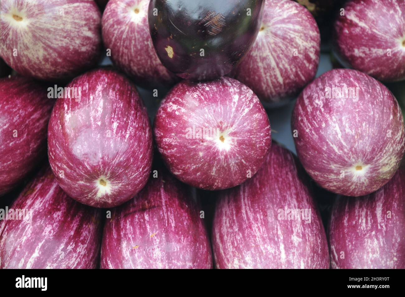 Kopenhagen, Dänemark.,20. Oktober 2021, /Gemüse- und Obstkunden bei Obst und Gemüse in Torvhallerne in der dänischen Hauptstadt.(Foto..Francis Joseph Dean/Dean Pictions) Stockfoto