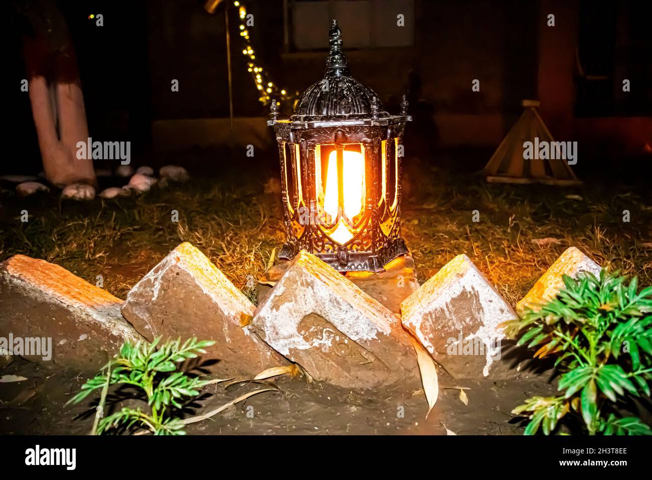 CRISTMIS KERZENLICHT LENTAINS DEKORIEREN IN GARTEN UND RASEN NACHTAUFNAHMEN IN DUNKLEN STEINEN UND STRÄUCHERN Stockfoto