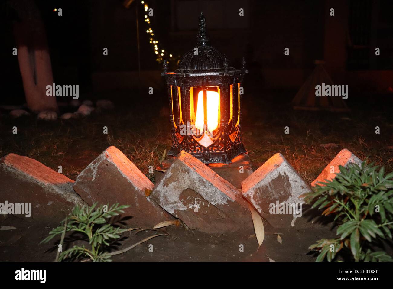 Lentain im Garten mit LED-Kerzenlicht „Schönheit der Nachtfotografie“ „Rasen- und Gartendekoration“-Stücke „cristmis lentain decoration“ Stockfoto
