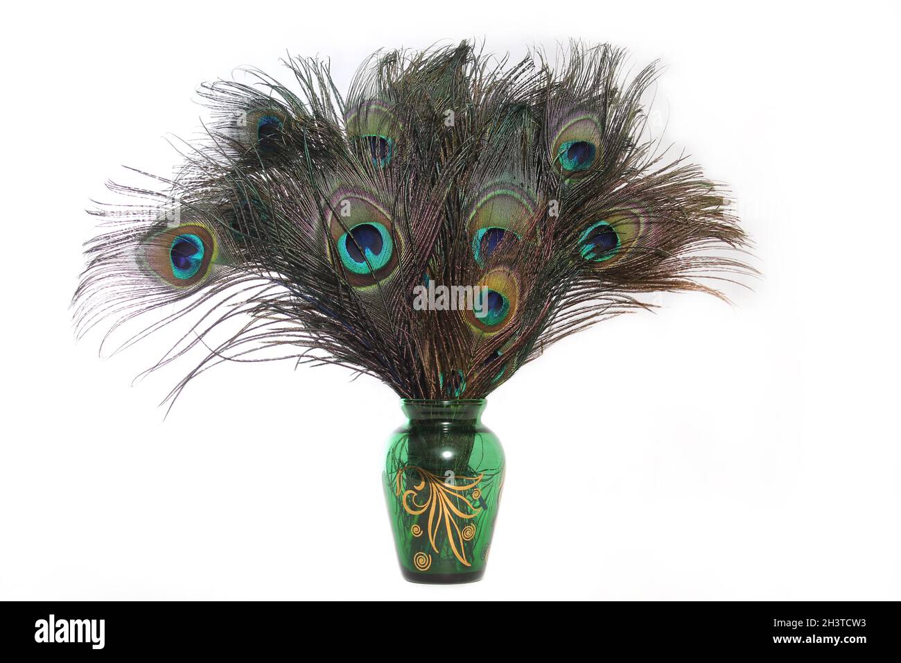 Vase mit Pfauenfedern auf hellem Hintergrund Vintage Green Vase Stockfoto