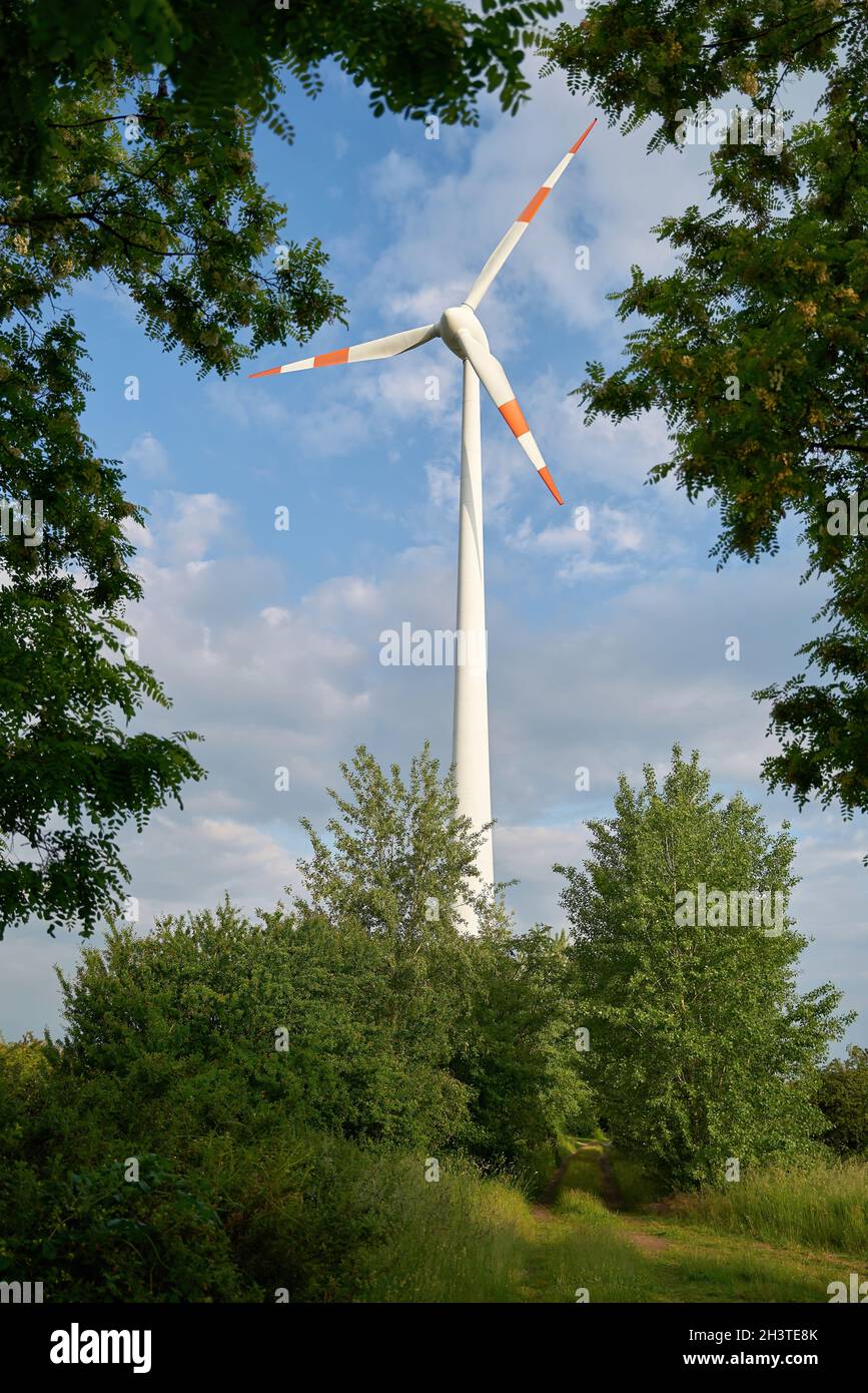 Windturbine in einer natürlichen Landschaft am Stadtrand von Magdeburg in Deutschland Stockfoto