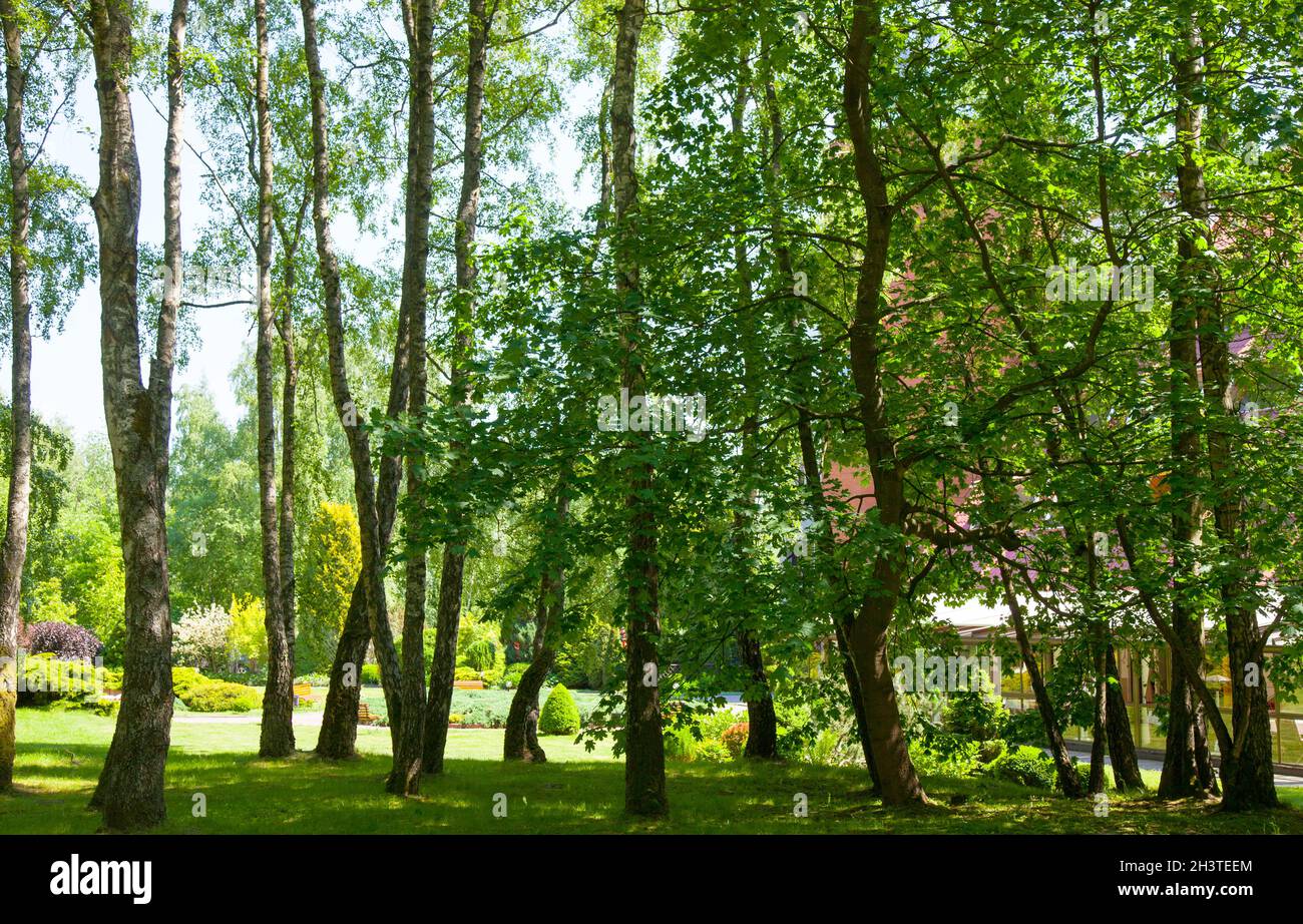 Oblast kaliningrad Fotos und Bildmaterial in hoher Auflösung Alamy