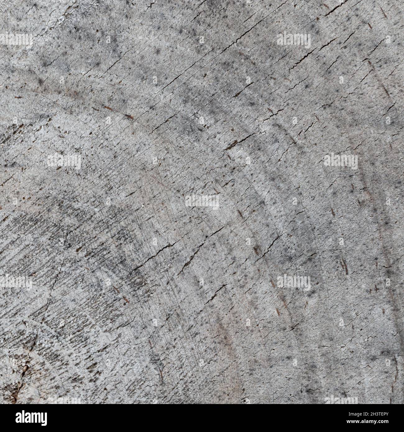 Hintergrund von einem Querschnitt eines Baumstamms. Abstrakte Textur aus den Ringen eines alten verwitterten Stumpfes Stockfoto