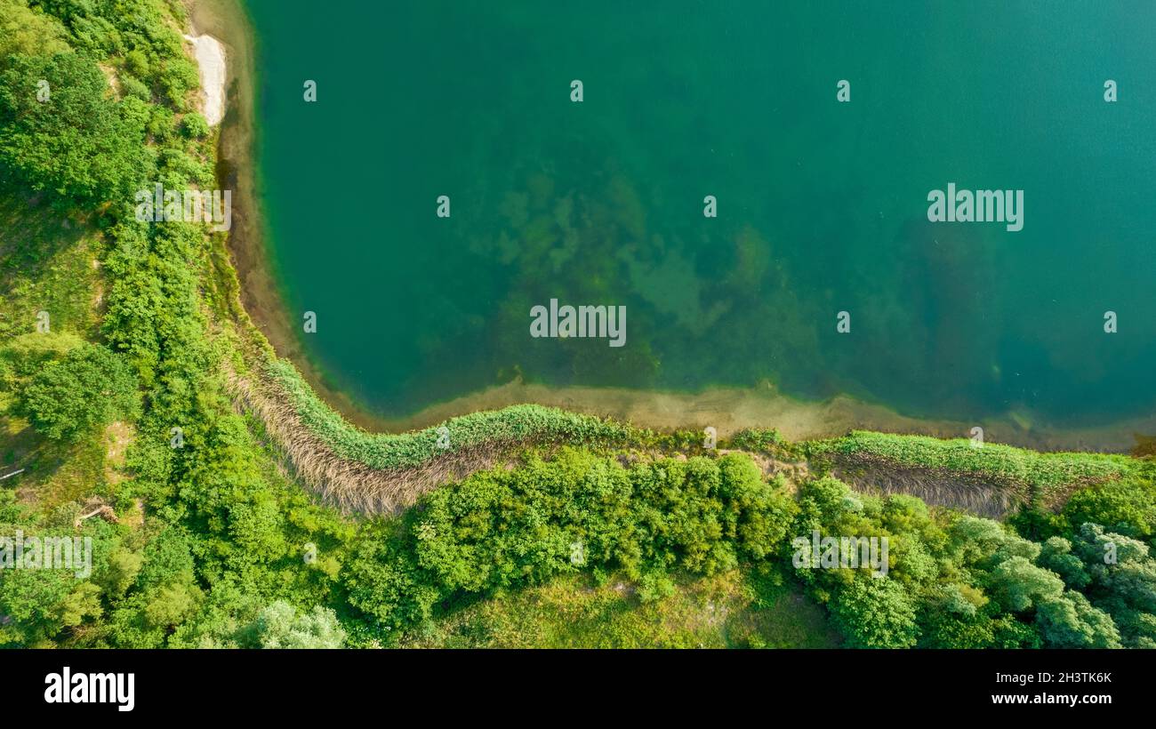 Luftaufnahme eines malerischen Ortes, an dem im Frühling das durchsichtige türkisfarbene Wasser eines Waldsees auf ein steineres Ufer mit Bäumen trifft. Stockfoto