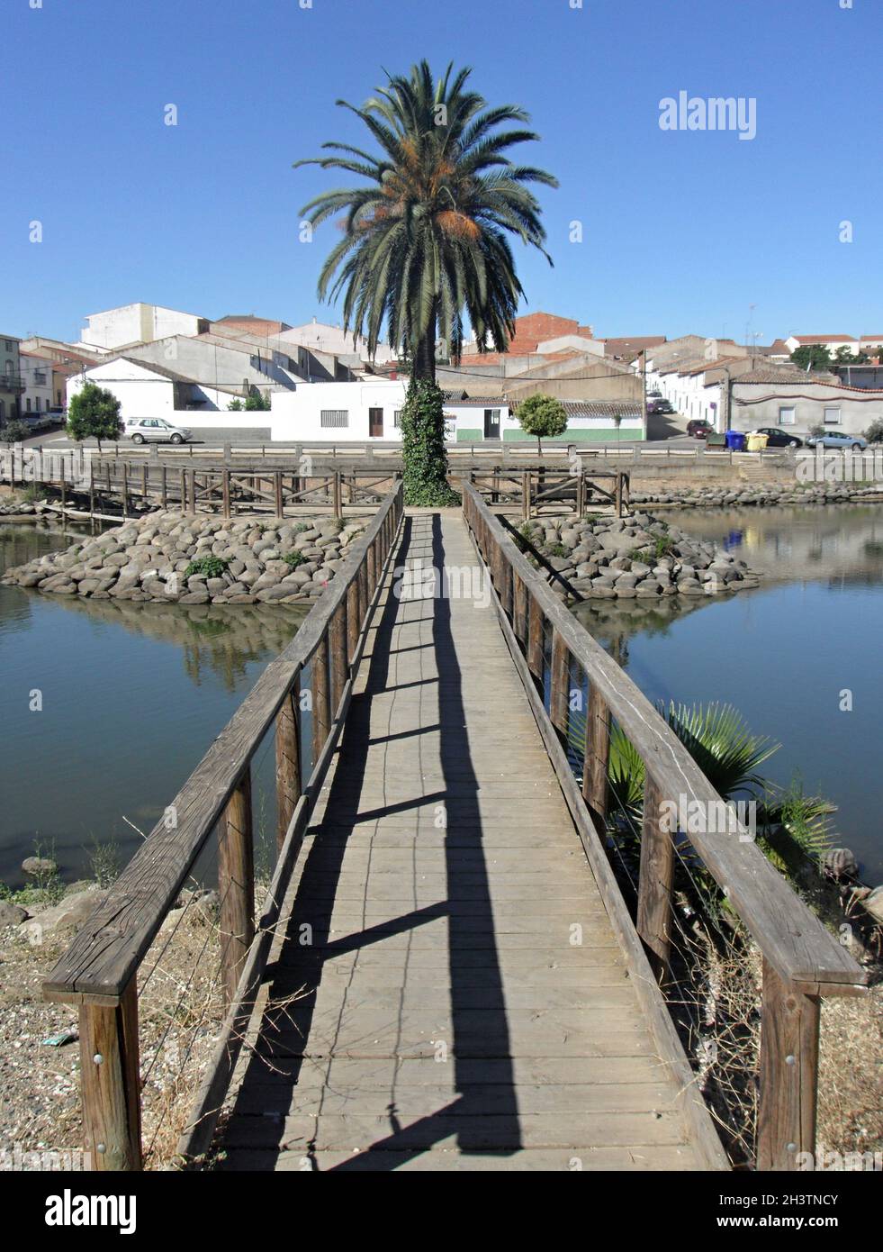 Steg mit Palme am Fischteich von La Coronada, Extremadura - Spanien Stockfoto
