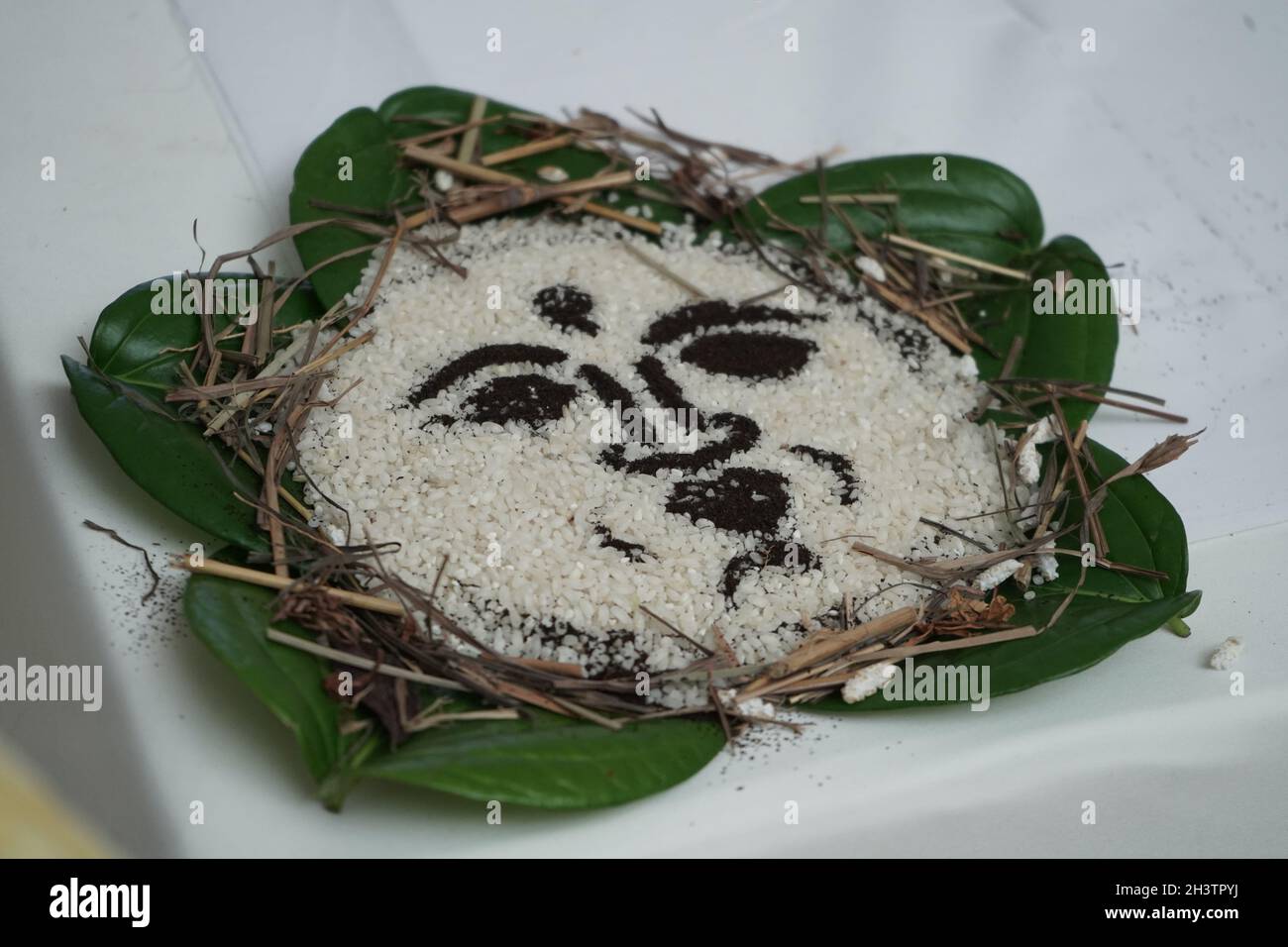 Betel lassen Dekoration für poruwa Zeremonie Stockfoto