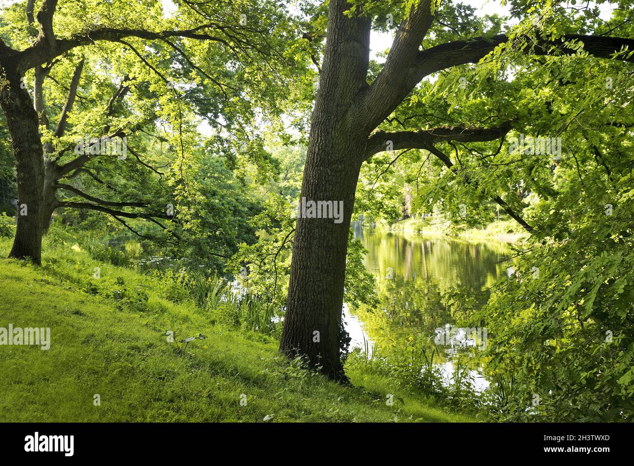 Bremer Wallanlagen, der erste öffentliche Park in Deutschland, Bremen, Deutschland, Europa Stockfoto