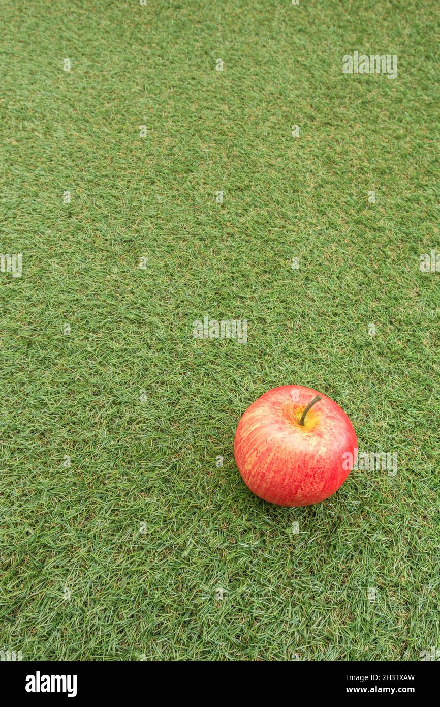 Rote Äpfel auf faux Gras. Für den britischen Apfelanbau, englische Äpfel, britische Apfelanbauindustrie, Apple Day Oktober, britische Erzeugnisse, Plastikverwendung Stockfoto