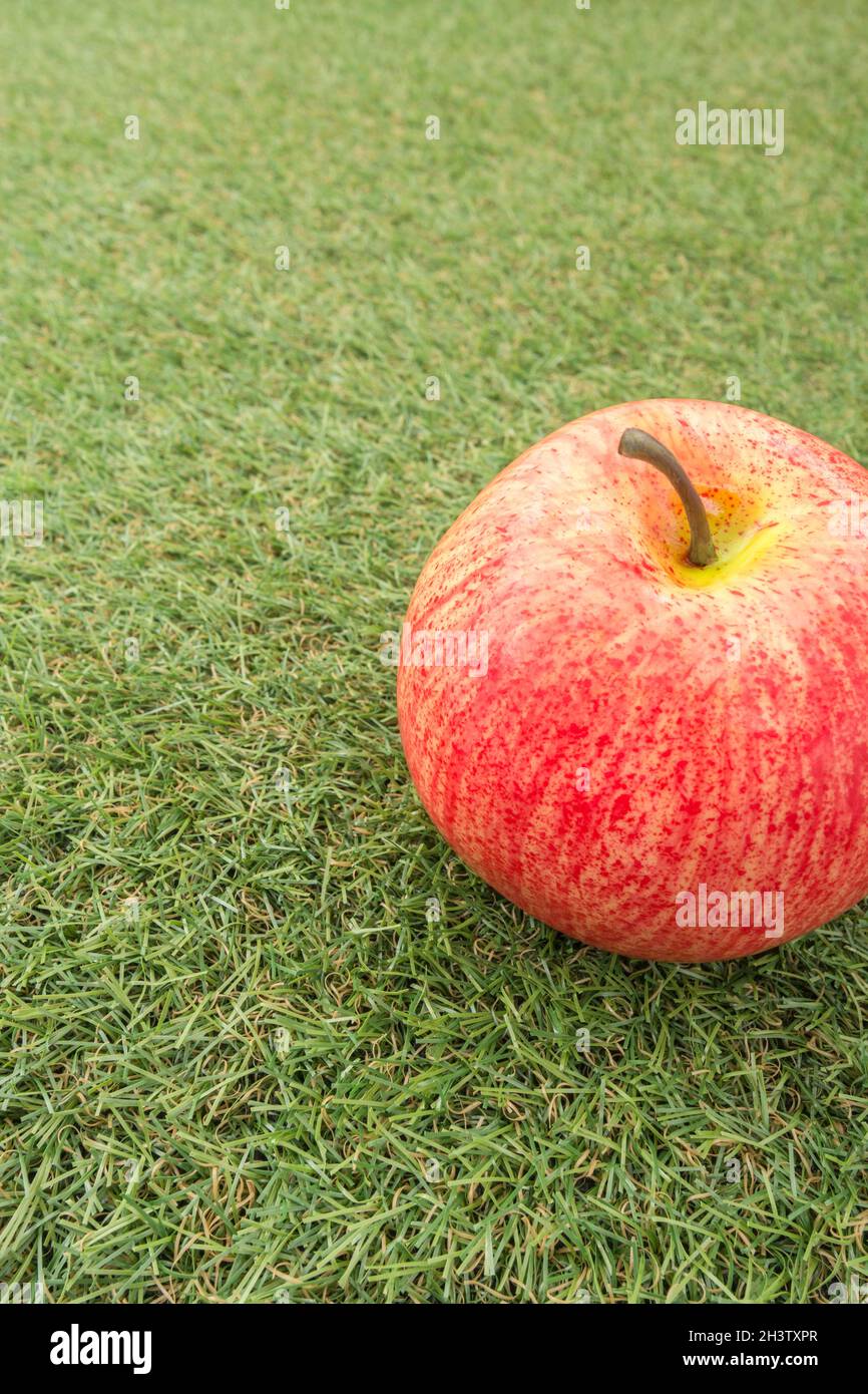 Rote Äpfel auf faux Gras. Für den britischen Apfelanbau, englische Äpfel, britische Apfelanbauindustrie, Apple Day Oktober, britische Erzeugnisse, Plastikverwendung Stockfoto