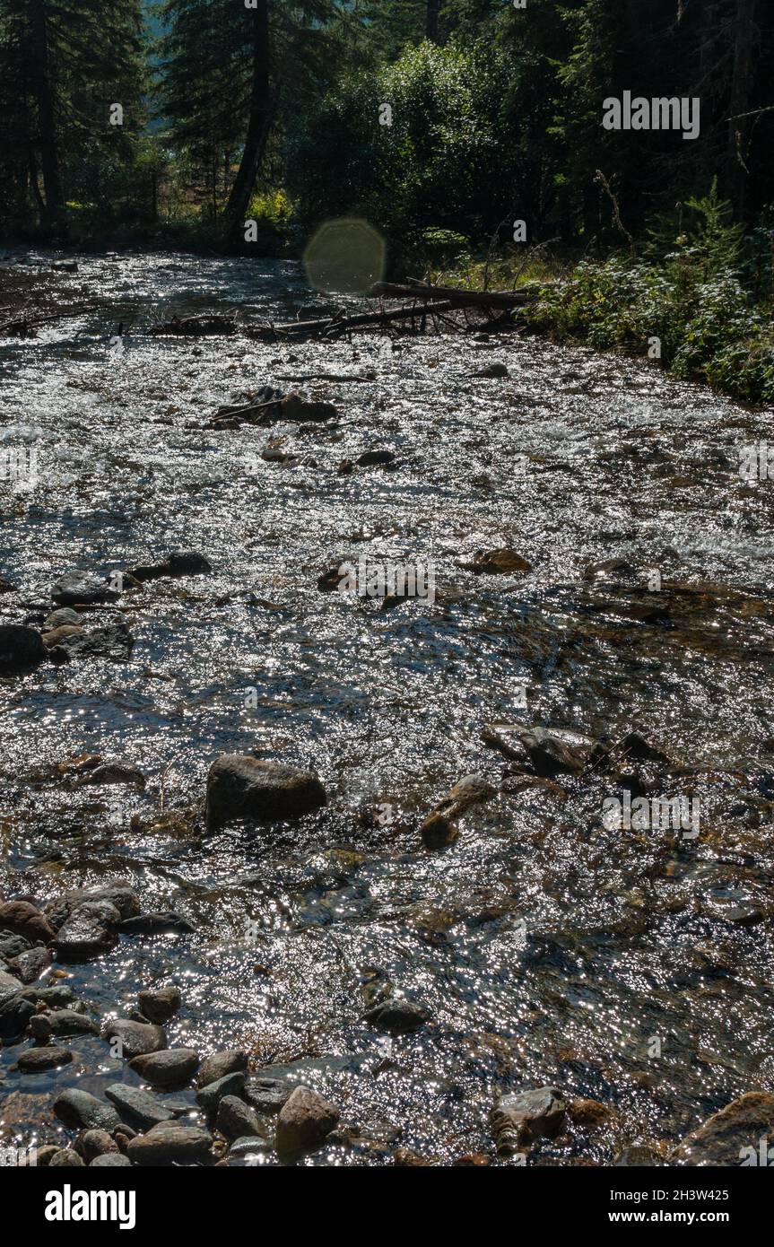 Schöner Bachlauf in Österreich, das Wasser glitzert im Sonnenlicht Stockfoto