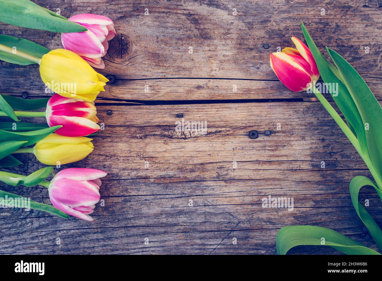 Anordnung von bunten Tulpen auf einem rustikalen Holztisch, Textraum Stockfoto