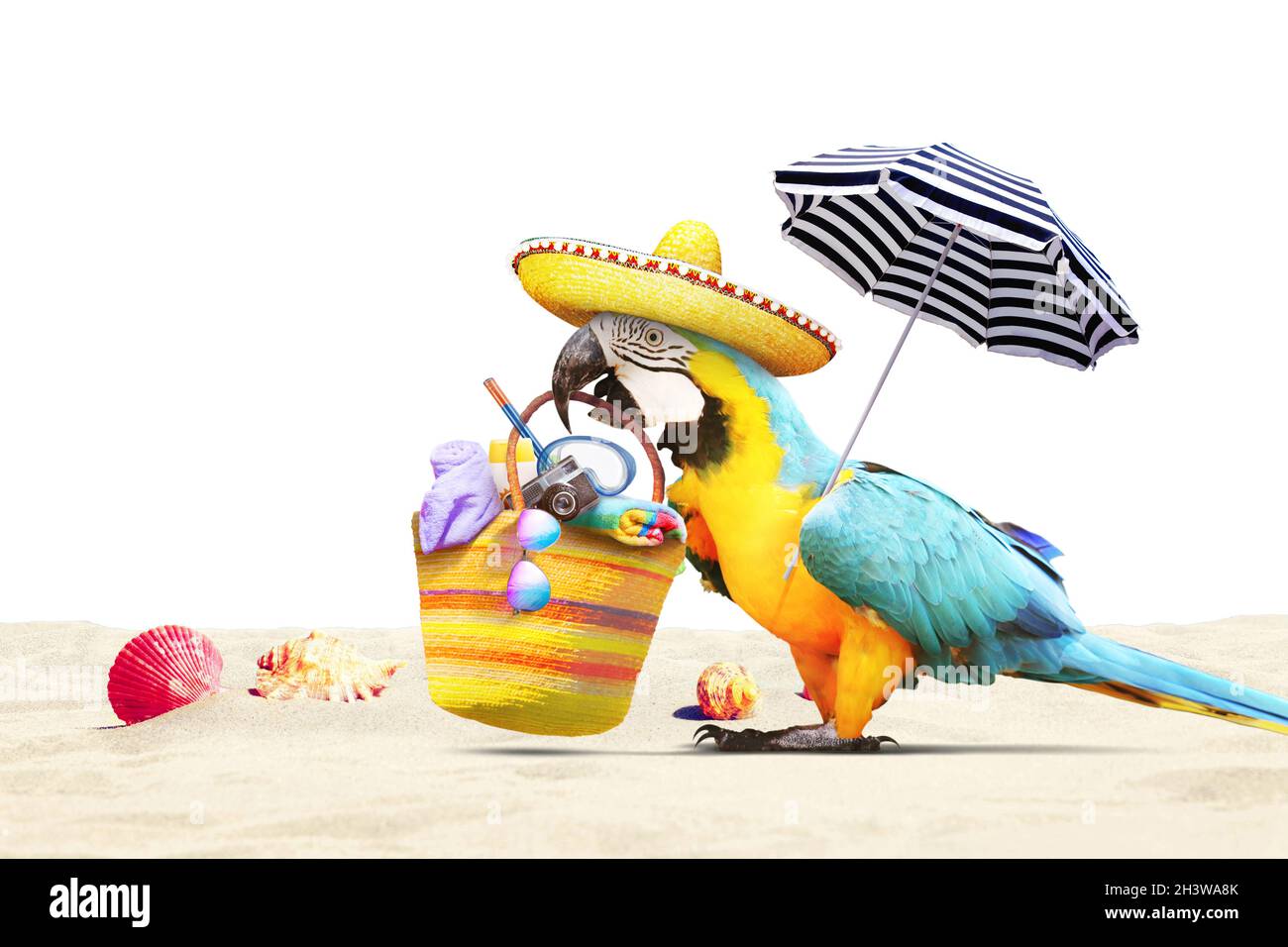 Papagei in der Sonne am tropischen Strand - Sommerurlaub. Stockfoto