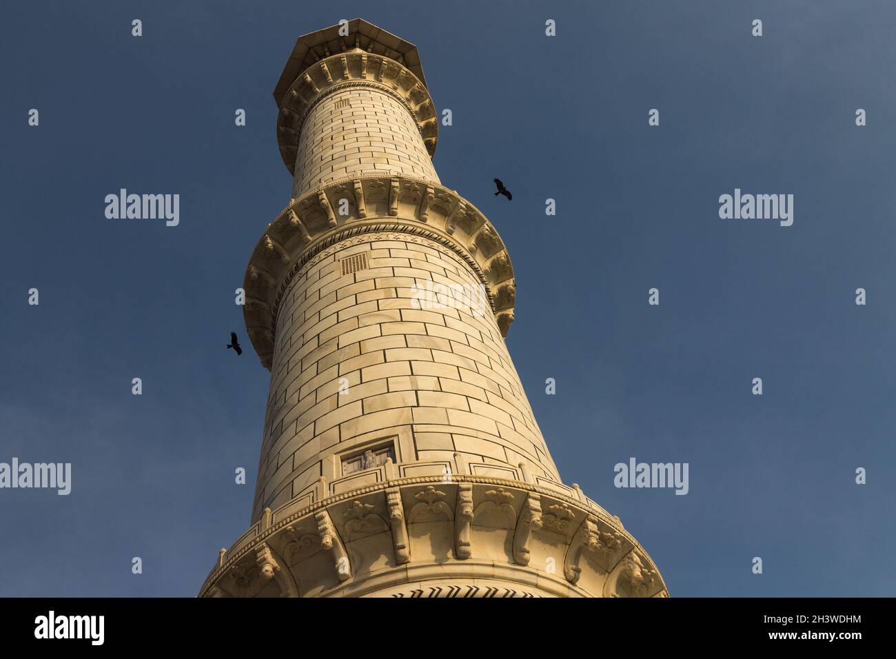 Das Minarett des Taj Mahal mit zwei Vögeln Stockfoto