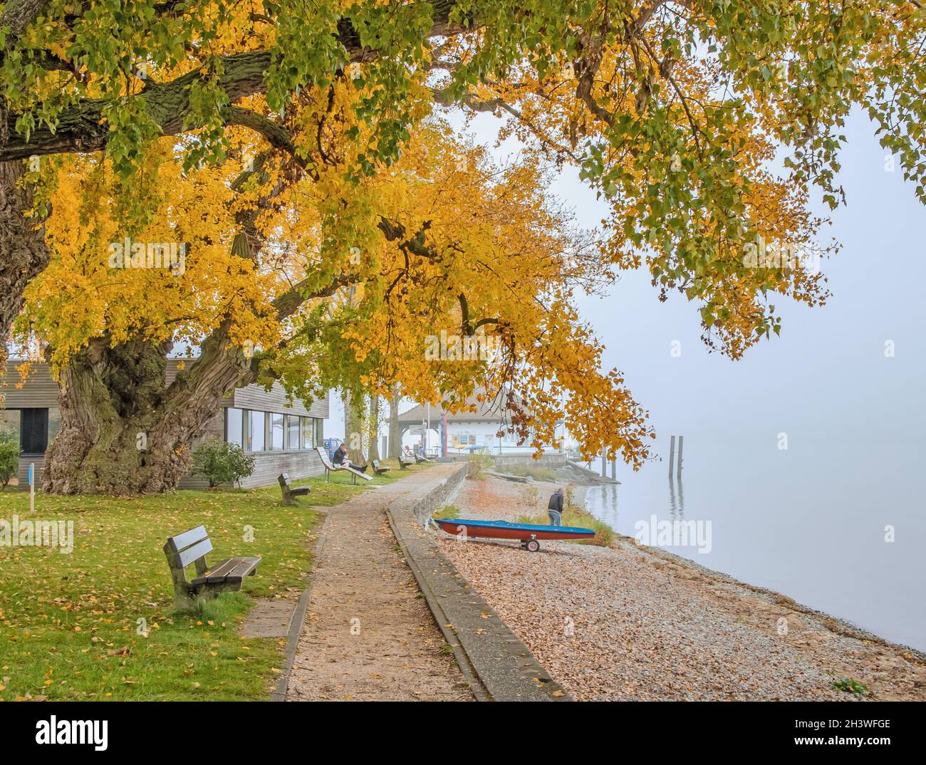Spätherbst an der Schiffsanlegestelle, Insel Reichenau Stockfoto