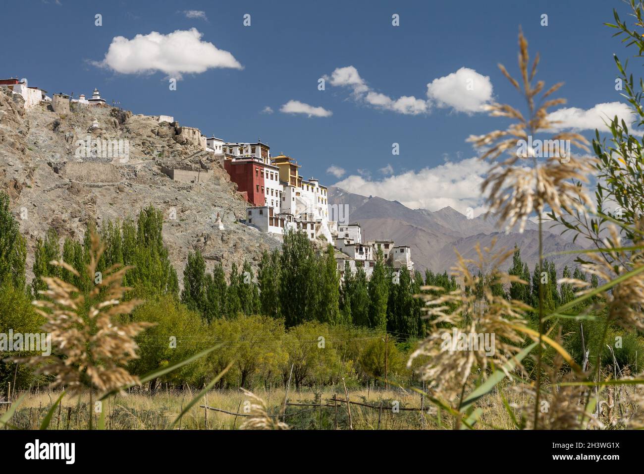 Spituk Kloster vom Indus Tal aus gesehen Stockfoto