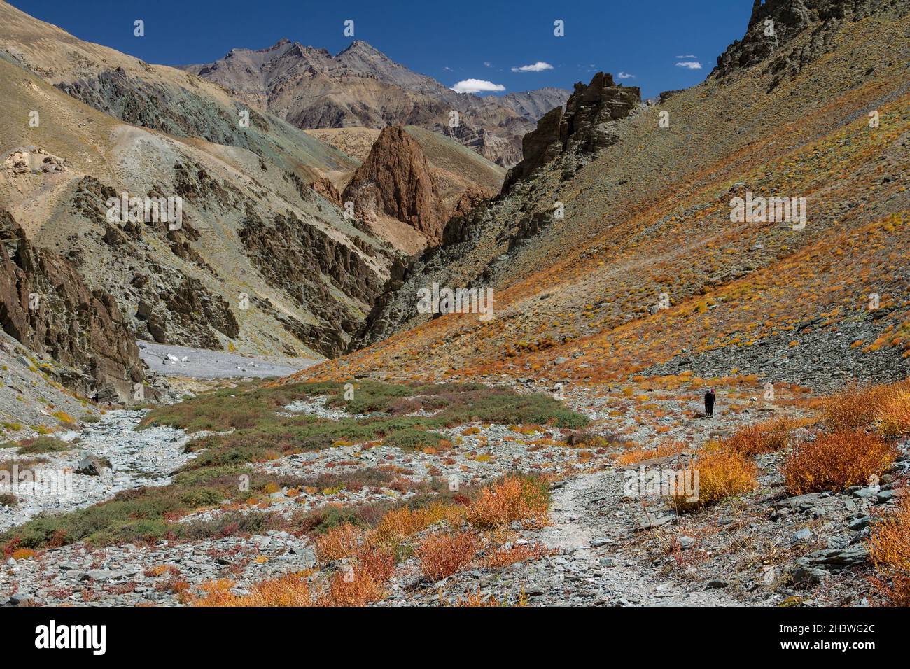 Zherin-Tal von Zanskar Stockfoto
