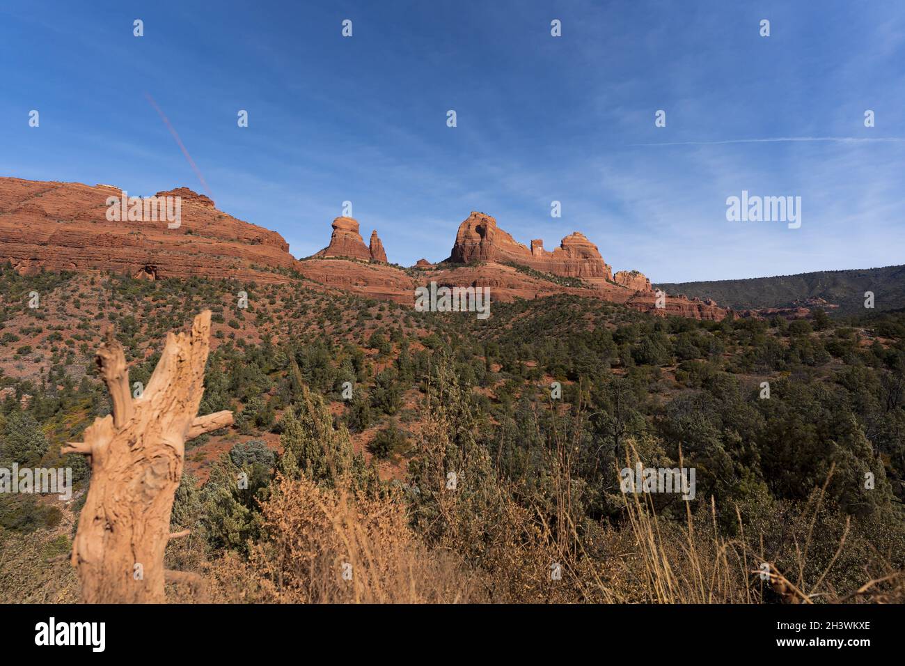 Amerikanische Wüstenfelsen Stockfoto