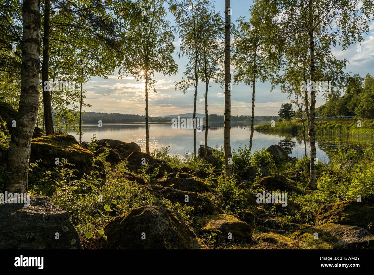 Landschaft aus moosbedeckten Felsbrocken und Birken am Ufer eines ruhigen idyllischen Sees bei warmem Abendlicht Stockfoto