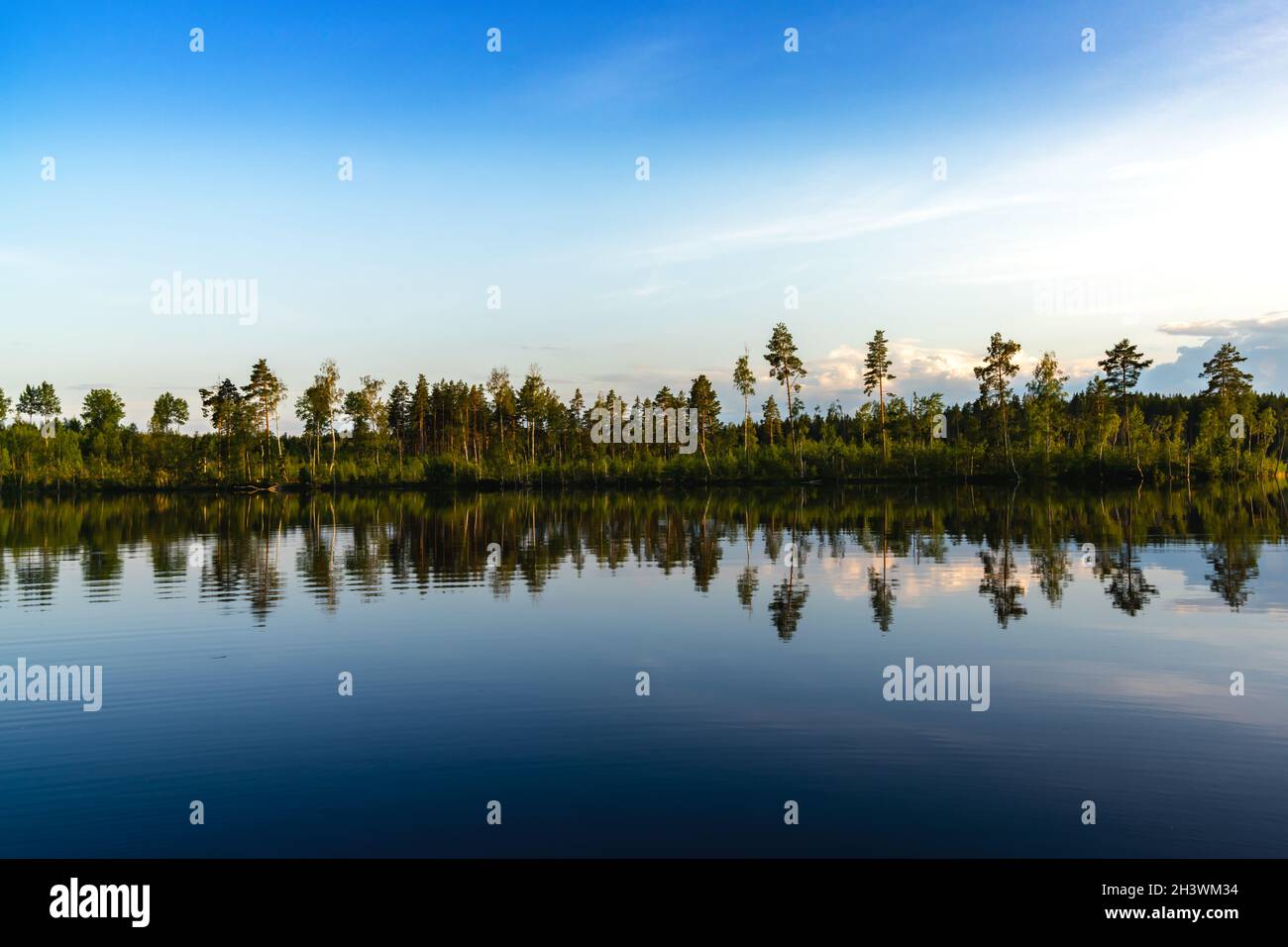Ruhiger idyllischer tiefblauer See mit Wald am Ufer und Spiegelungen von Bäumen im Wasser Stockfoto