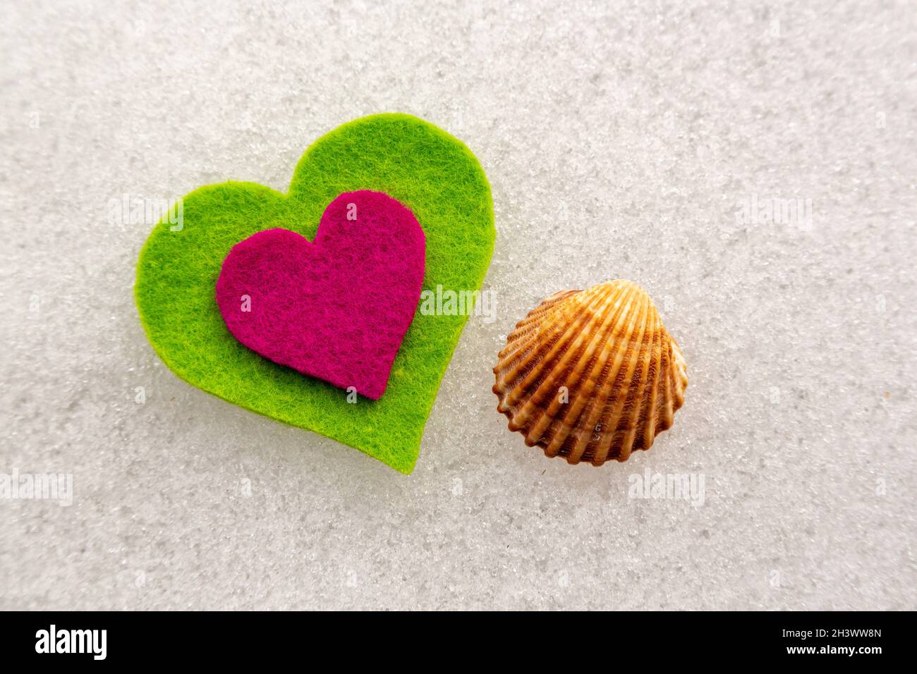 Grüne und rosa Herzen aus Filz mit einer Muschel auf dem Schnee. Stockfoto