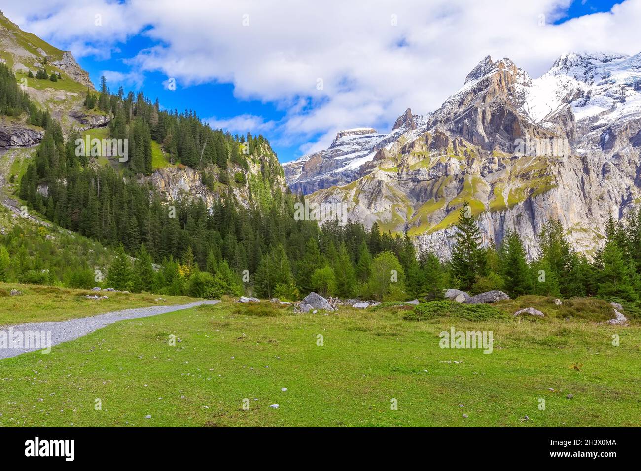 Berner Alpenpanorama, Schneeberge, Schweiz Stockfoto