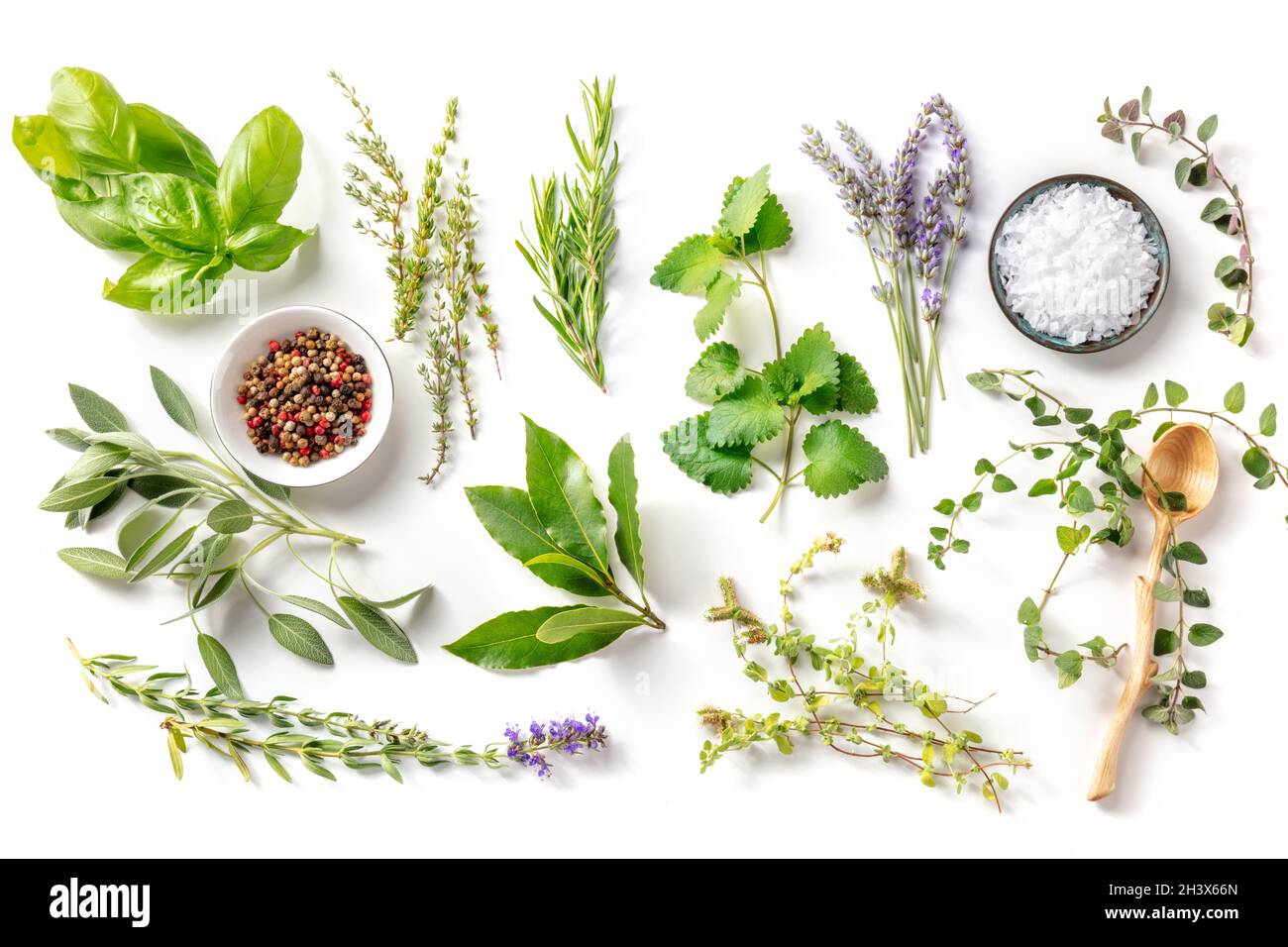 Frische aromatische Kräuter, darüber liegend flach auf weißem Hintergrund mit Gewürzen geschossen Stockfoto