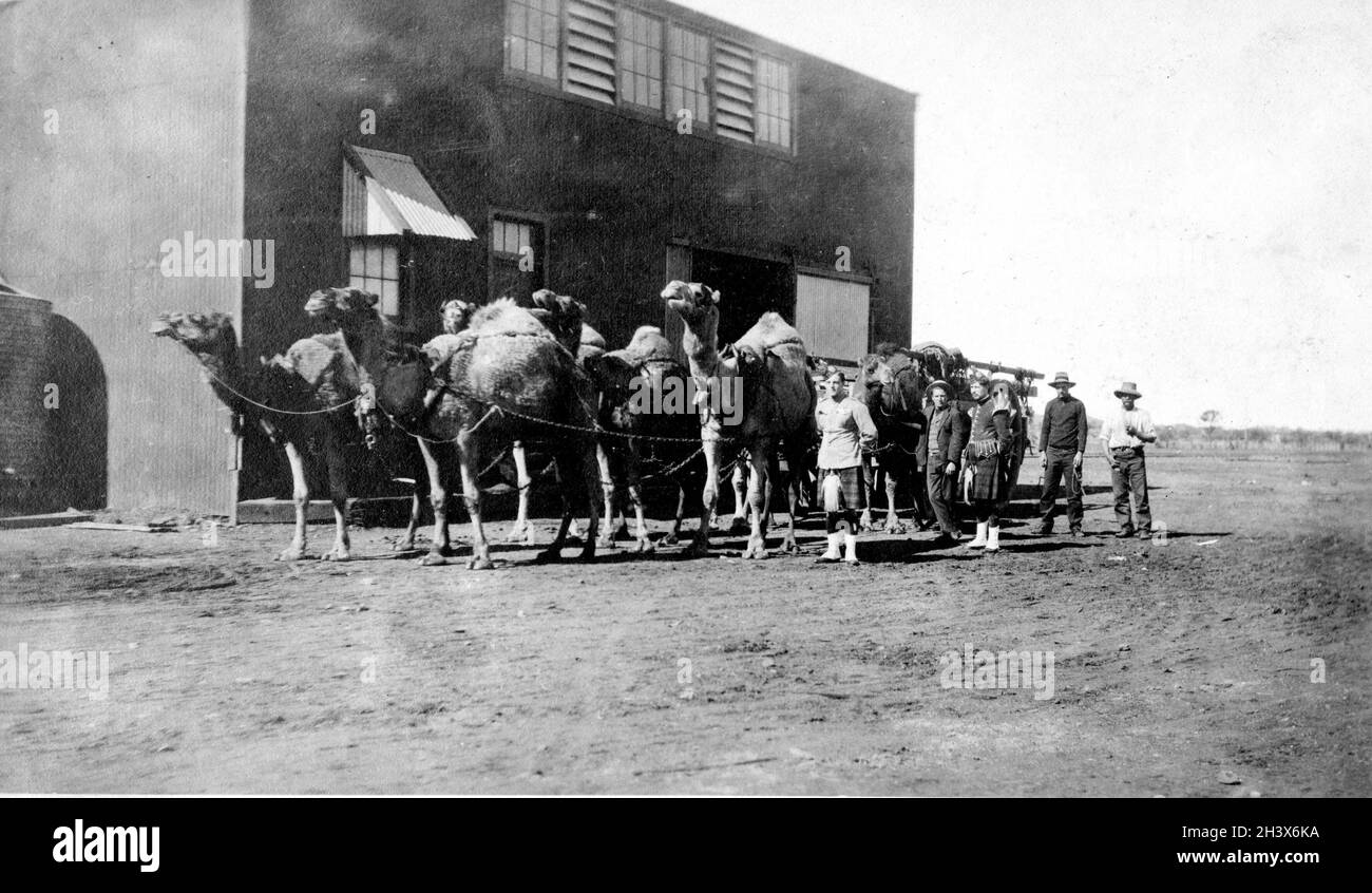 Die Kilties, eine kanadische Schotten-Band, inspizieren während ihrer Welttournee 1909 einen Kamelzug in Leonora, Westaustralien. Stockfoto