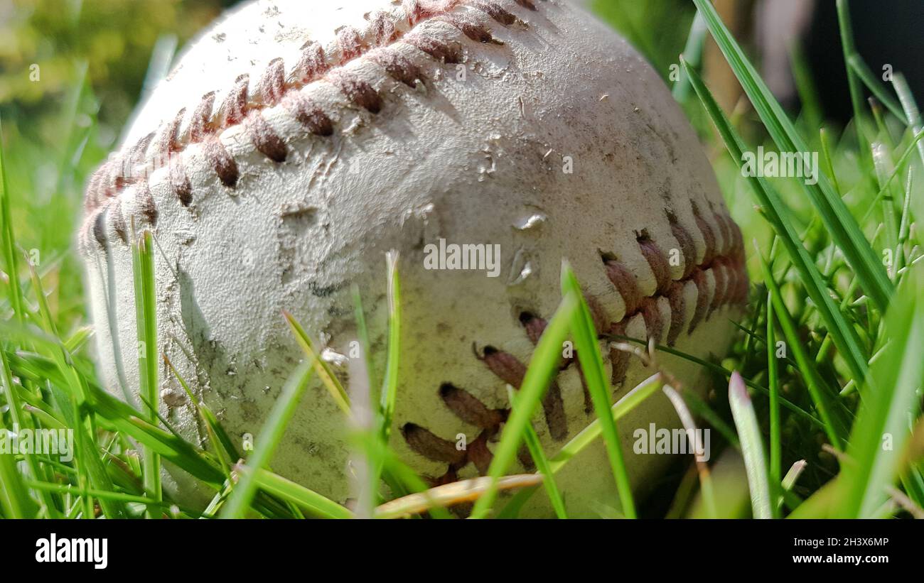 Weißer alter Baseballball auf frischem grünem Gras mit Kopierraum aus der Nähe. American Sports Baseballspiel. Stockfoto