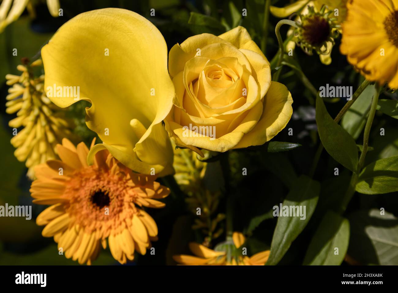 Gelbe Blumen in einer Vase auf einem Gartentisch Stockfoto