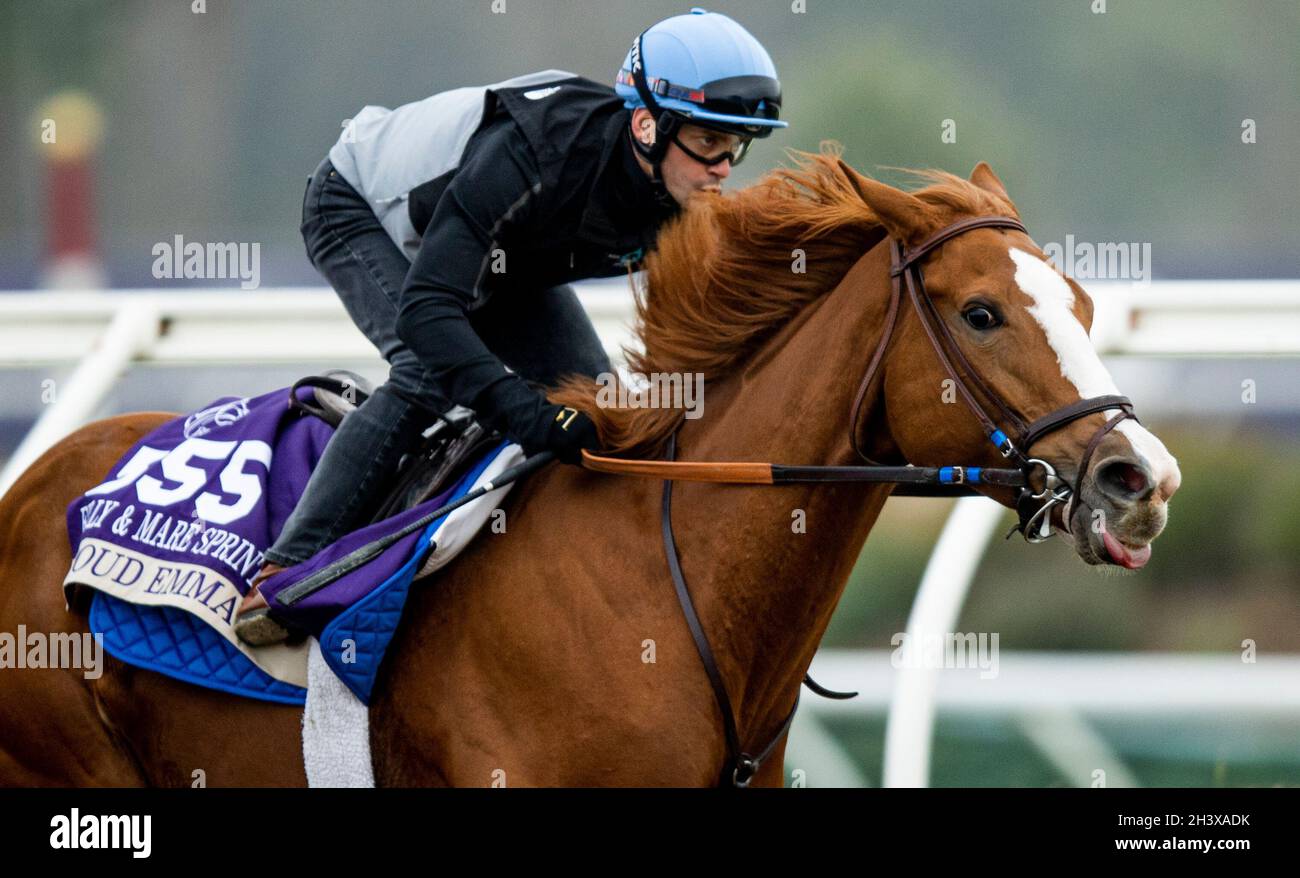 Schwafeln Fotos und Bildmaterial in hoher Auflösung Alamy