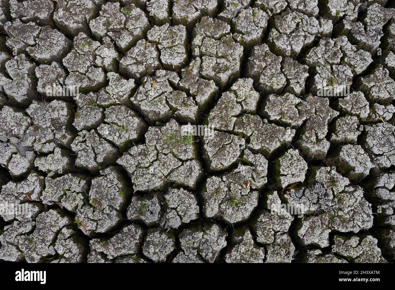 Gerissener Boden eines ausgetrockneten Sees in der Ukraine. Der Wasserstand ist in den letzten Jahren deutlich gesunken. Als Ergebnis sind viele Teiche verschwunden. Stockfoto