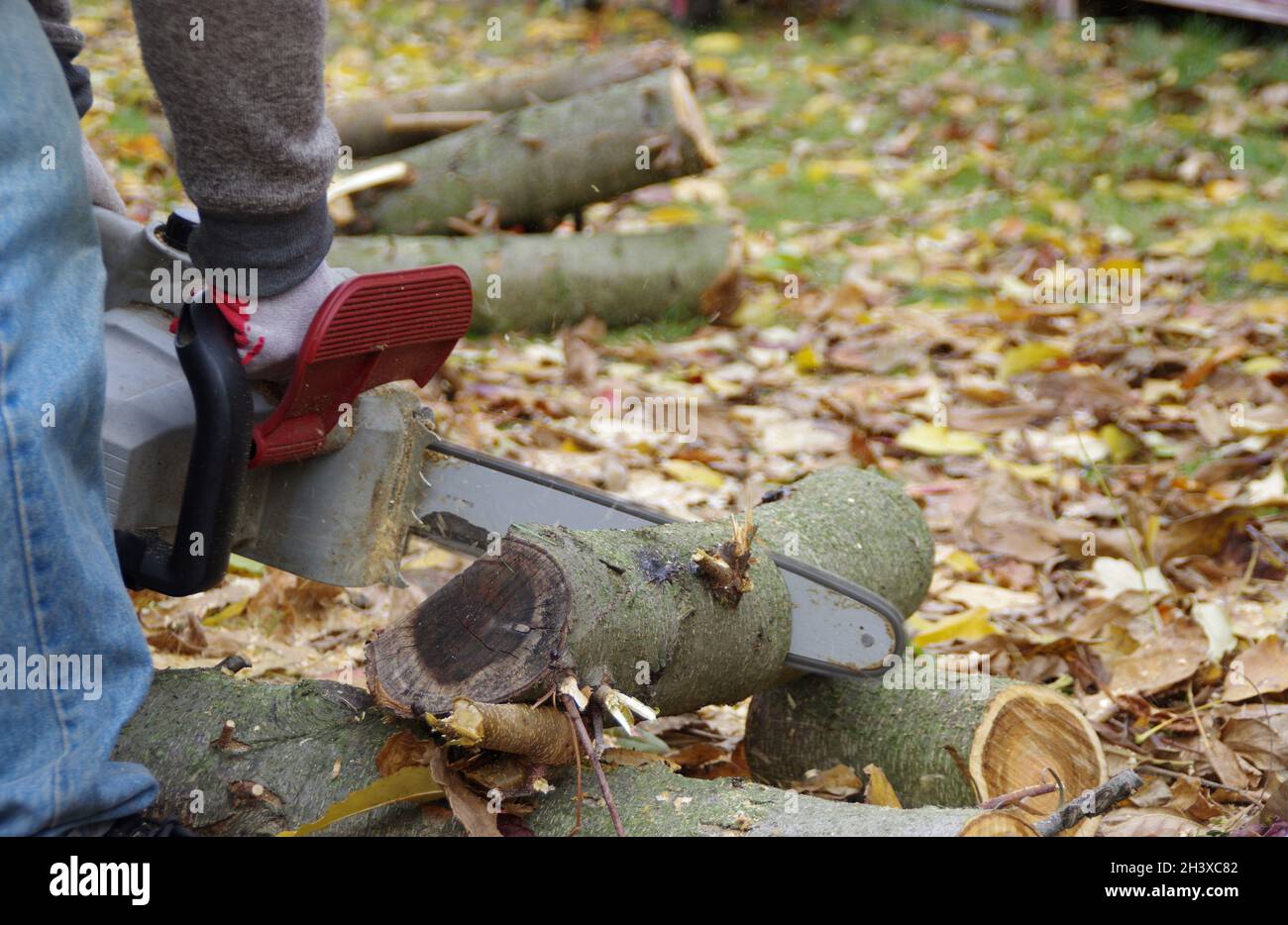 Schneiden von Holz mit einer Kettensäge. Vorbereitung des Brennholzes. Arbeiter mit einer elektrischen Säge. Stockfoto