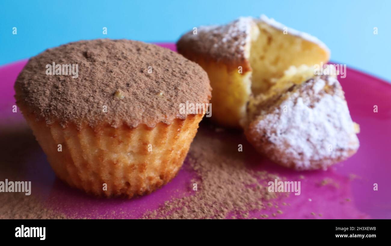 Zwei mit Schokolade und Puderzucker bestreute Quark-Kuchen auf einem rosa Teller auf blauem Hintergrund. Dessert, ein kleiner Cupcake. Weiß b Stockfoto