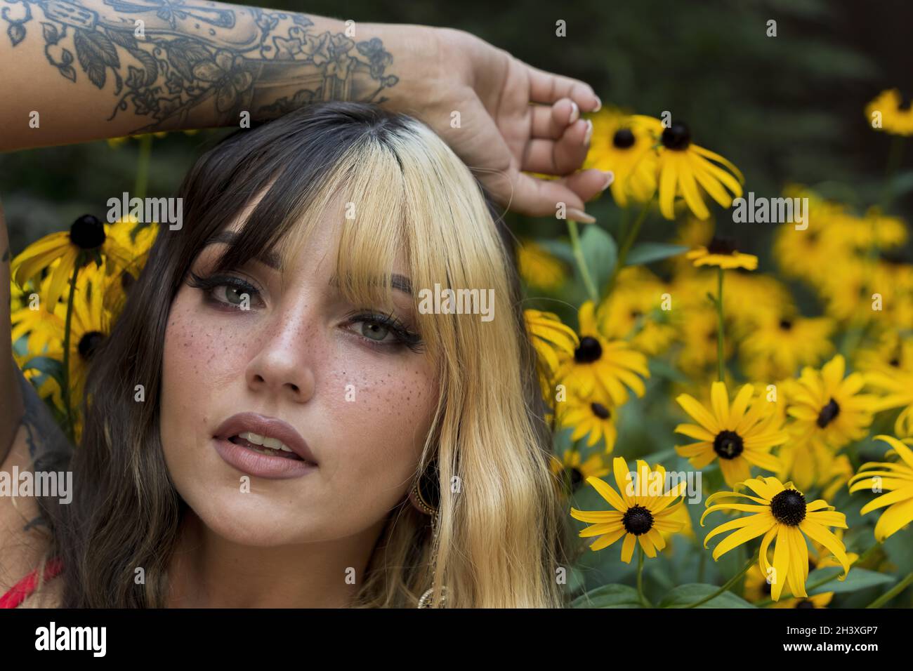 Ein schönes Brünette Model posiert in Einem Feld von gelben Blumen, während es das Sommerwetter genießt Stockfoto