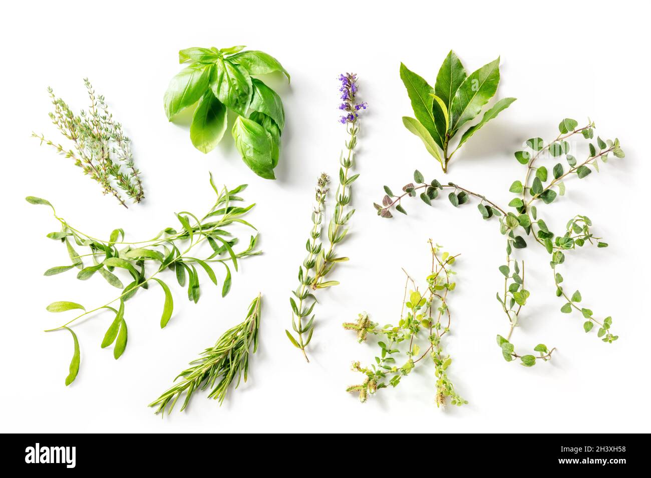Herbes de Provence, traditionelle französische aromatische Kräuter, oben geschossen Stockfoto