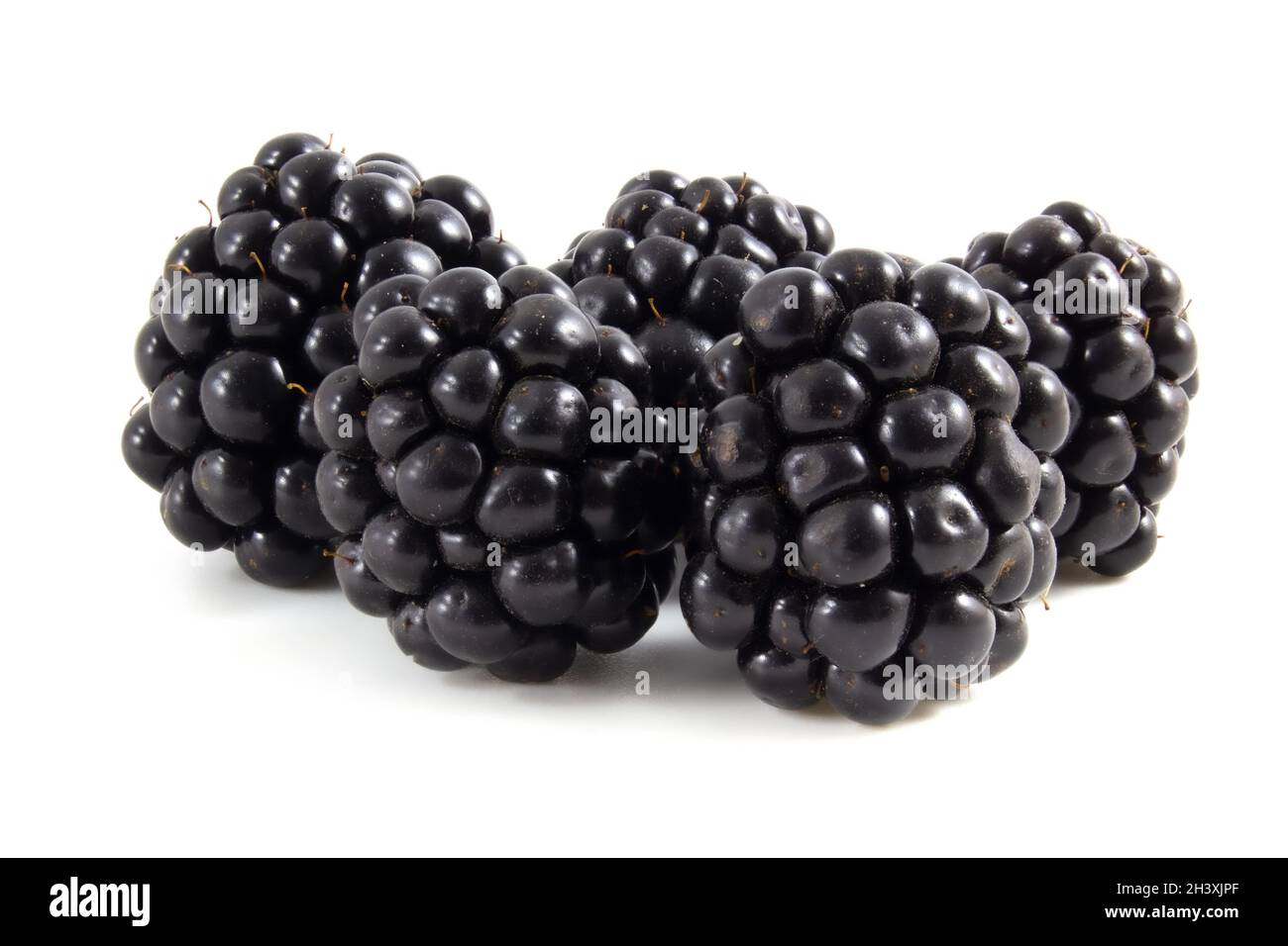 Frische reife Brombeeren isoliert auf weißem Hintergrund. Beeren aus nächster Nähe. Stockfoto