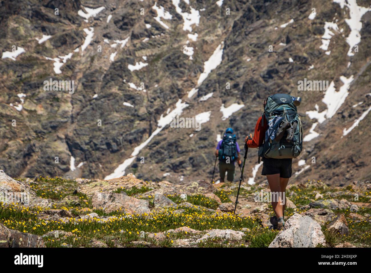 Wanderer mit schweren Packungen und Wanderstöcken im Sommer in schroffem Berggelände, Indian Peaks Wilderness Area, Colorado, USA Stockfoto