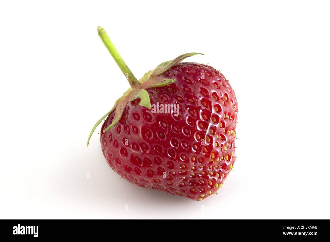 Isoliert auf weißen roten Erdbeeren, reife Beeren für eine schnelle Auswahl. Stockfoto