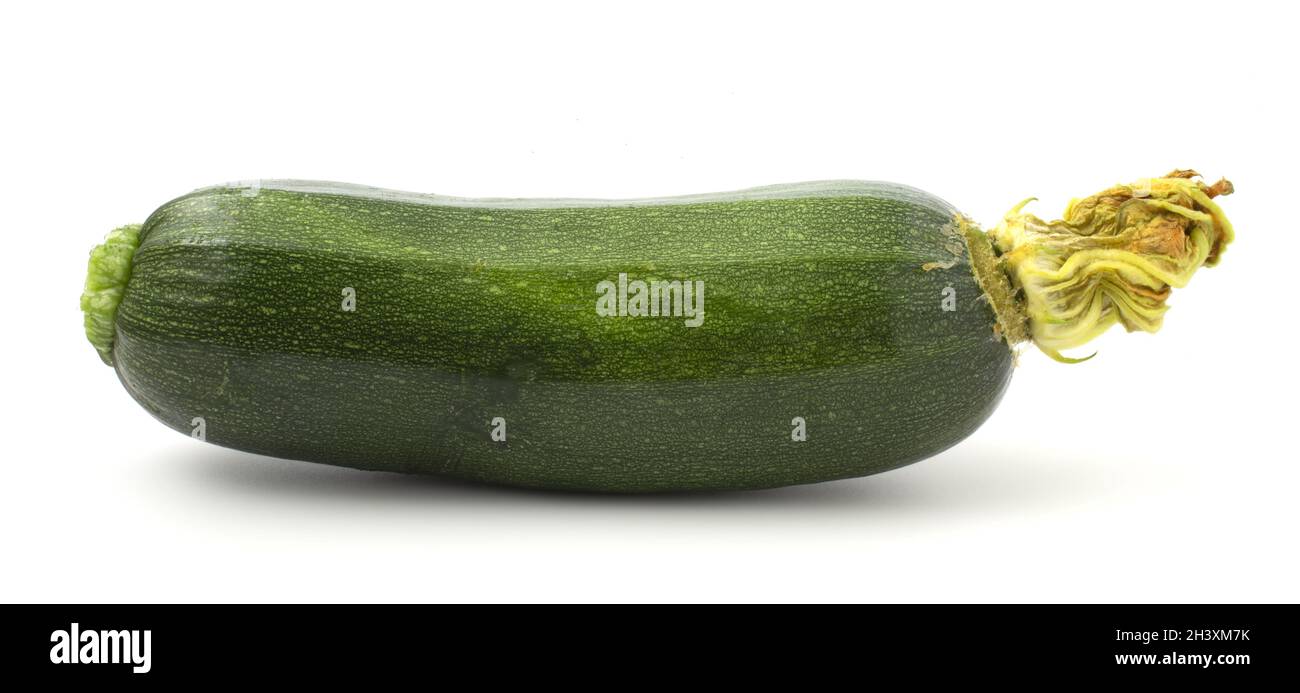 Grüne junge Zucchini isoliert auf weißem Hintergrund. Nahrhaftes Gemüse mit Vitaminen. Stockfoto