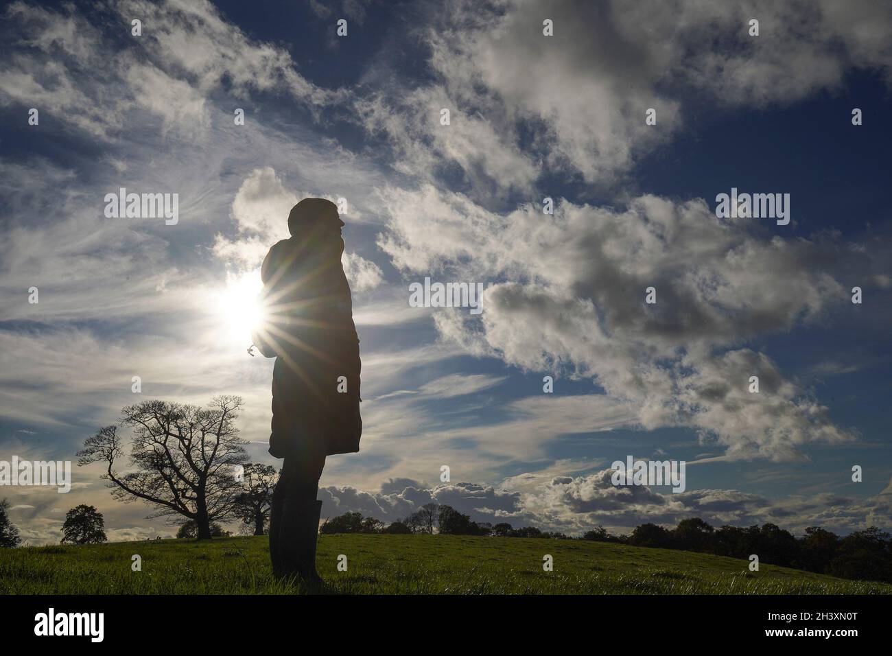 Kidderminster, Großbritannien. 30. Oktober 2021. Wetter in Großbritannien: Nach extrem nassem Wetter bricht heute Nachmittag endlich die Herbstsonne durch die Wolken auf den wunderschönen Hügeln von Worcestershire. Angesichts dieser sich ständig ändernden britischen Wettermuster scheint die natürliche Welt zu gedeihen, eine wilde „Flora“, die das Beste aus den feuchten, sonnigen Bedingungen macht. Menschliche Geister werden ebenso erhoben, wie Wanderer innehalten, um die Welt um sie herum zu genießen. Credit Lee Hudson/Alamy Live News Stockfoto