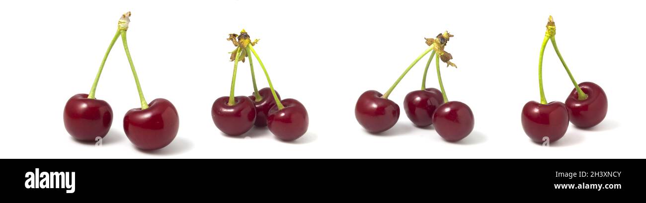Set mit 4 Fotos, rote reife Kirschen auf weißem Hintergrund. Sammlung von Beeren isoliert für eine schnelle Auswahl. Stockfoto