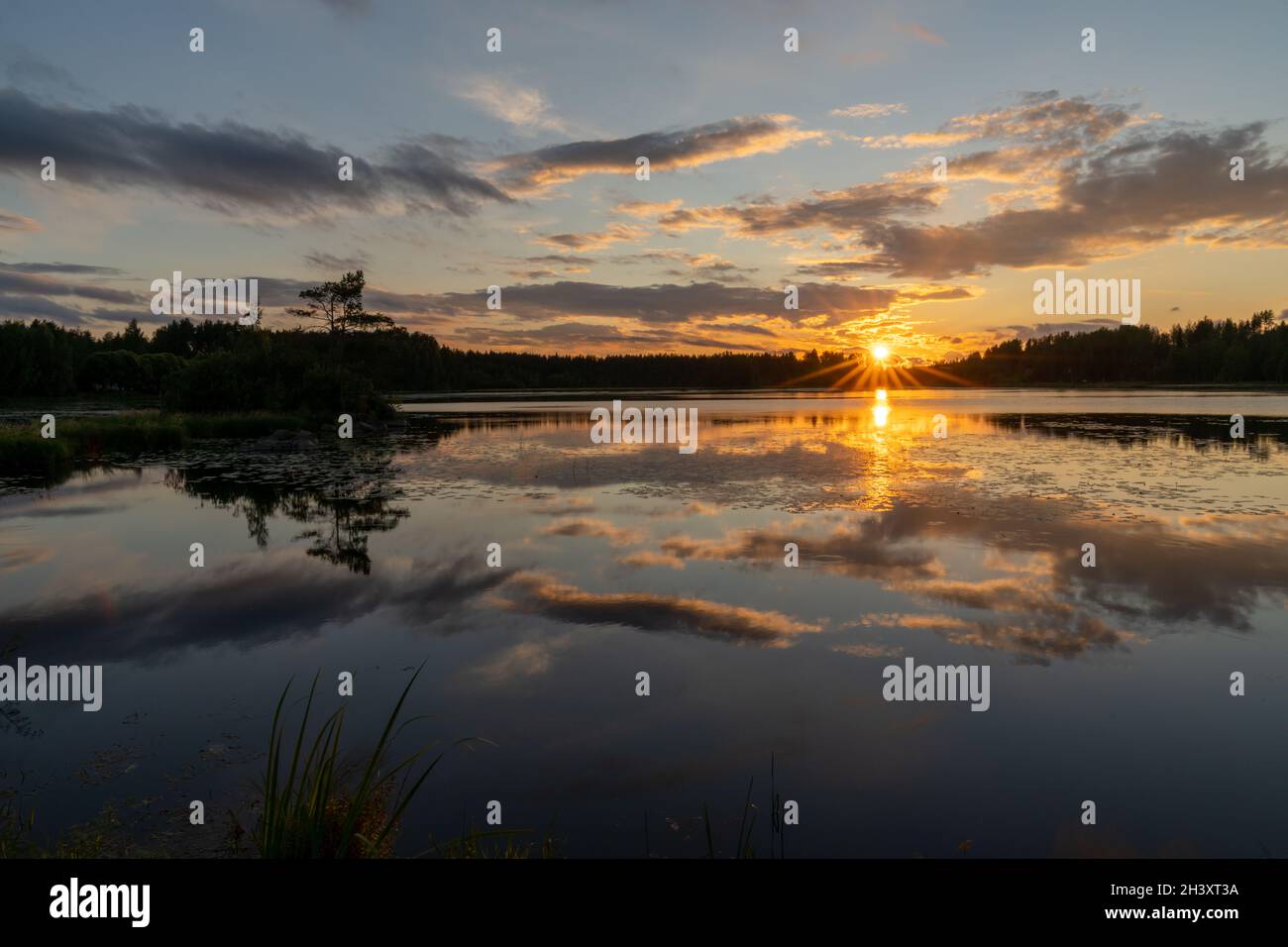 Der farbenfrohe Sonnenuntergang spiegelt sich in einer ruhigen Seenlandschaft mit grünem Wald und Schilf wider Stockfoto