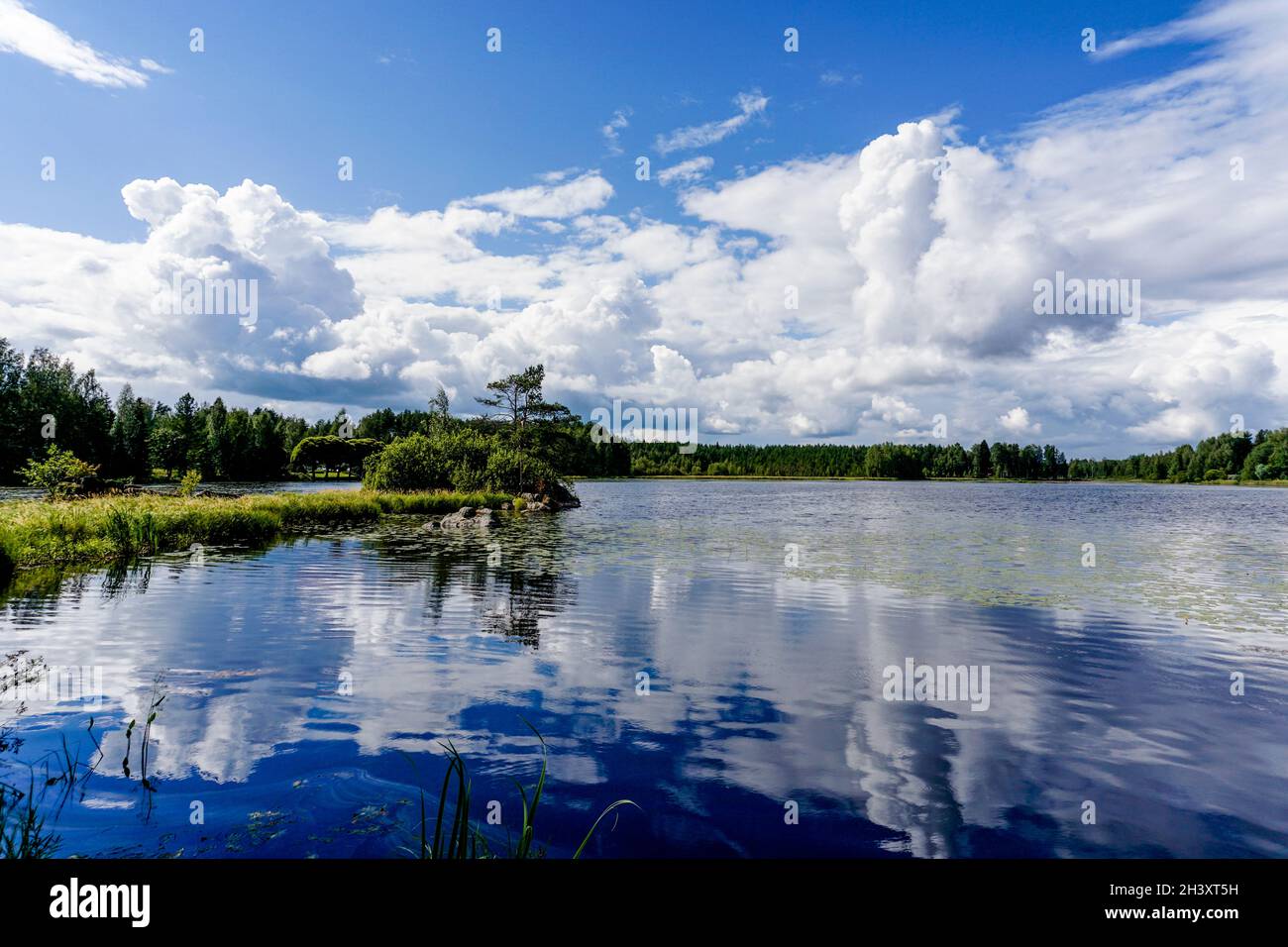 Friedliche idyllische Seenlandschaft mit üppig grüner Sommervegetation unter blauem Himmel mit weißen Wolken Stockfoto